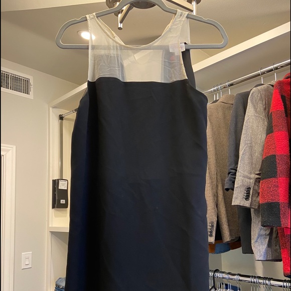 Parker New Silk Pipsy Sheer Black and White Shift Dress Size Medium - Picture 5 of 12